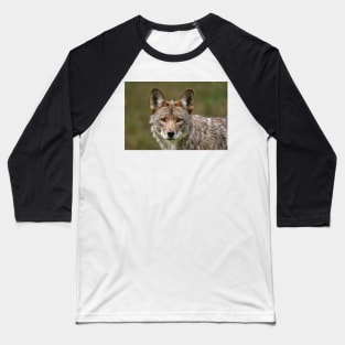 Coyote Baseball T-Shirt